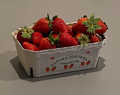 jordbaertryk